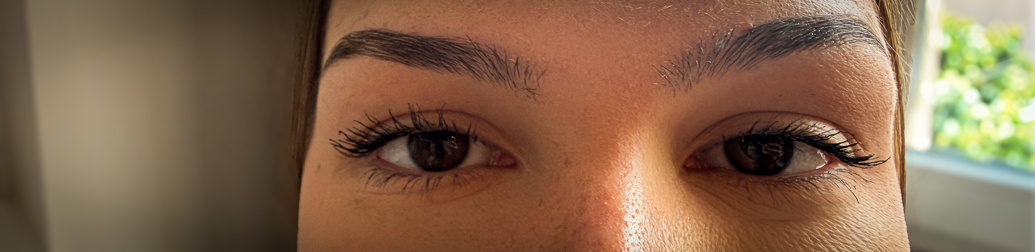 Le Regard